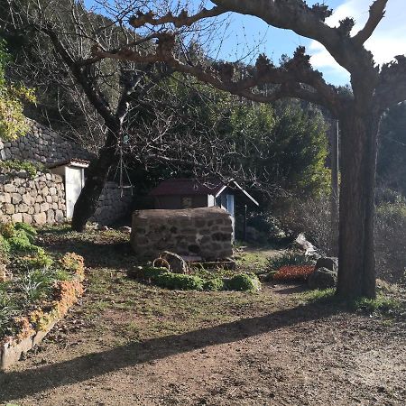 Studio Des Combes Dunieres-sur-Eyrieux Экстерьер фото