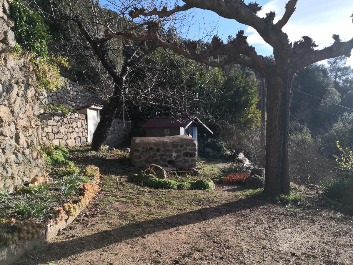 Studio Des Combes Dunieres-sur-Eyrieux Экстерьер фото